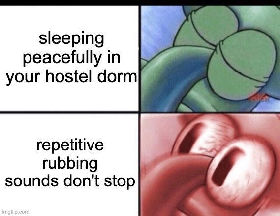 Squidward sleeping | sleeping peacefully in your hostel dorm; repetitive rubbing sounds don't stop | image tagged in squidward sleeping | made w/ Imgflip meme maker