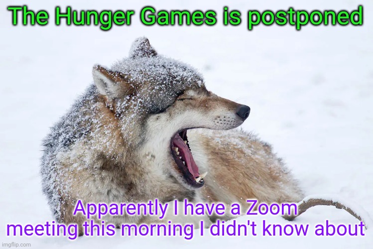 It might be a while | The Hunger Games is postponed; Apparently I have a Zoom meeting this morning I didn't know about | image tagged in yawning wolf | made w/ Imgflip meme maker