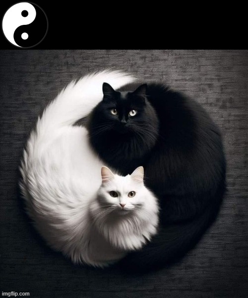 Ying and Yang | image tagged in symbolism | made w/ Imgflip meme maker