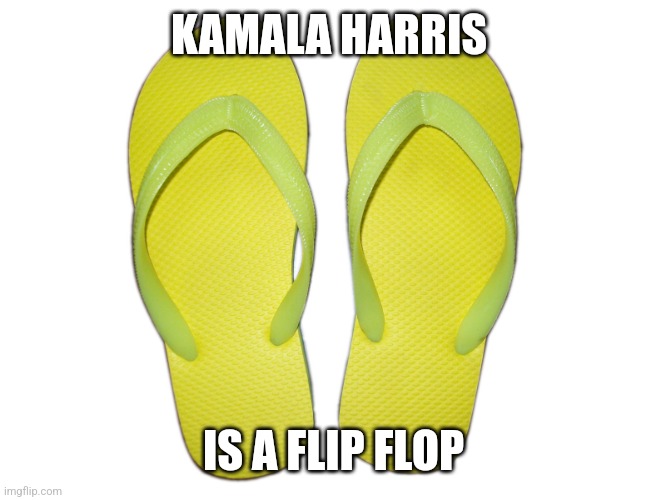 Flip Flops | KAMALA HARRIS; IS A FLIP FLOP | image tagged in flip flops | made w/ Imgflip meme maker