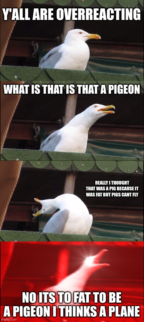 Inhaling Seagull Meme | Y'ALL ARE OVERREACTING; WHAT IS THAT IS THAT A PIGEON; REALLY I THOUGHT THAT WAS A PIG BECAUSE IT WAS FAT BUT PIGS CANT FLY; NO ITS TO FAT TO BE A PIGEON I THINKS A PLANE | image tagged in memes,inhaling seagull | made w/ Imgflip meme maker