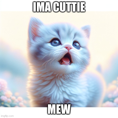 cuttie | IMA CUTTIE; MEW | image tagged in cute,cat | made w/ Imgflip meme maker