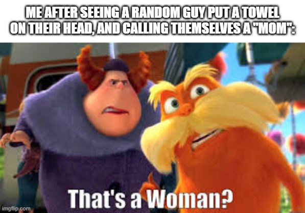 Dude, we can see you're a guy | ME AFTER SEEING A RANDOM GUY PUT A TOWEL ON THEIR HEAD, AND CALLING THEMSELVES A "MOM": | image tagged in that's a woman | made w/ Imgflip meme maker