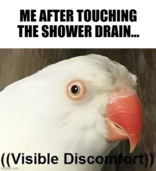 aghhhhhhhhhhhh | ME AFTER TOUCHING THE SHOWER DRAIN... | image tagged in blank white template,visible discomfort,shopping,help | made w/ Imgflip meme maker