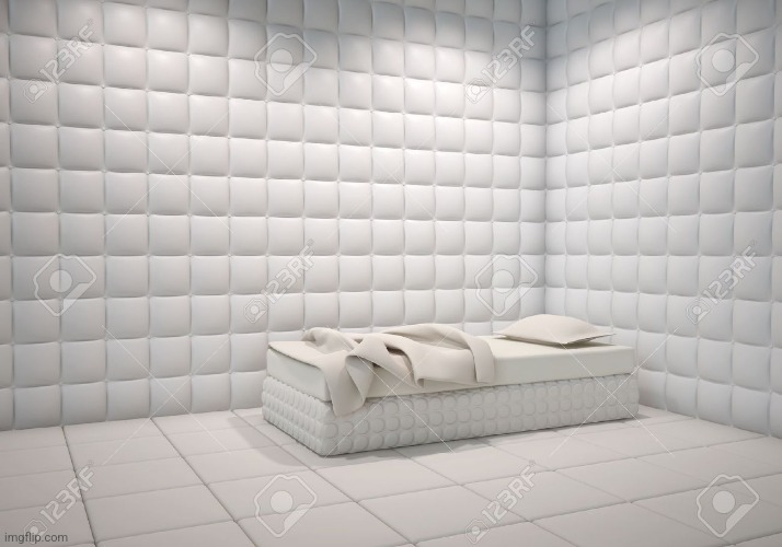 padded room | image tagged in padded room | made w/ Imgflip meme maker