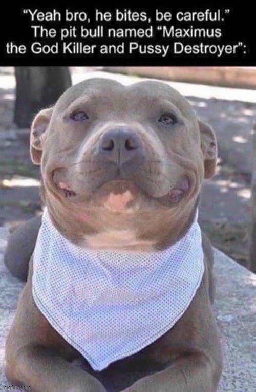 . | made w/ Imgflip meme maker