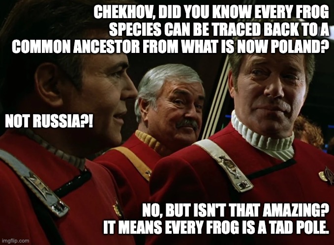 Kirk Chekhov frog joke | CHEKHOV, DID YOU KNOW EVERY FROG SPECIES CAN BE TRACED BACK TO A COMMON ANCESTOR FROM WHAT IS NOW POLAND? NOT RUSSIA?! NO, BUT ISN'T THAT AMAZING? IT MEANS EVERY FROG IS A TAD POLE. | image tagged in captain kirk | made w/ Imgflip meme maker