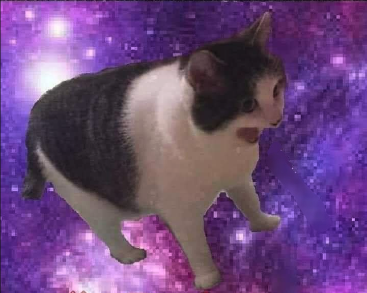 Space cat scream Blank Meme Template