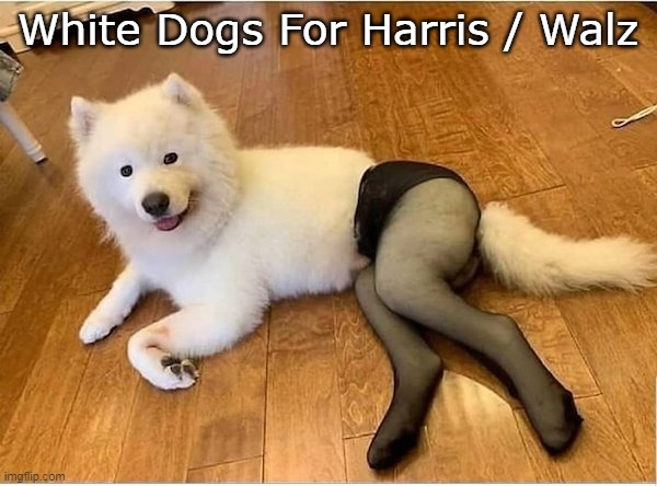 White Dogs For Harris / Walz | made w/ Imgflip meme maker