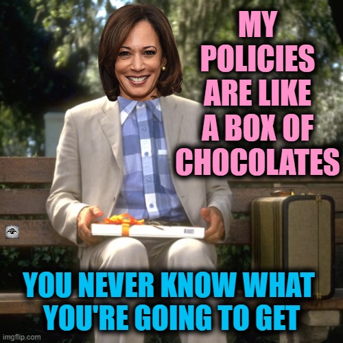 MY POLICIES ARE LIKE A BOX OF CHOCOLATES; YOU NEVER KNOW WHAT 
YOU'RE GOING TO GET | image tagged in politics,forrest gump,kamala,movies | made w/ Imgflip meme maker