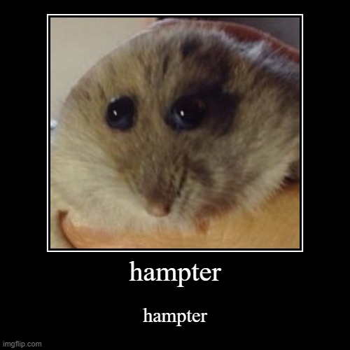 hampter | hampter | hampter | image tagged in funny,demotivationals,hampter | made w/ Imgflip demotivational maker