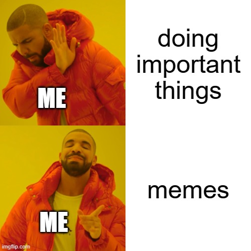 a meme | doing important things; ME; memes; ME | image tagged in memes,drake hotline bling | made w/ Imgflip meme maker