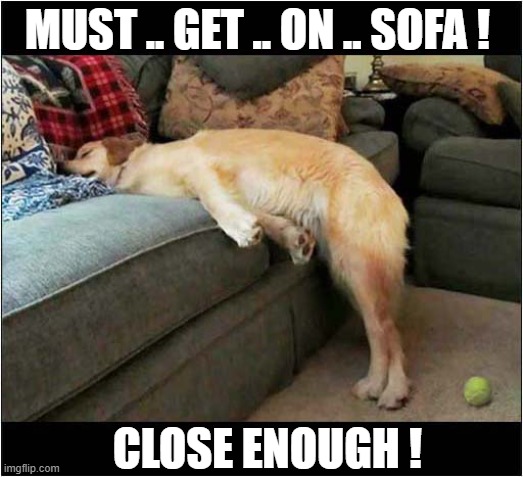 Tired Out After Playing Fetch ! | MUST .. GET .. ON .. SOFA ! CLOSE ENOUGH ! | image tagged in dogs,tired,sofa,close enough | made w/ Imgflip meme maker