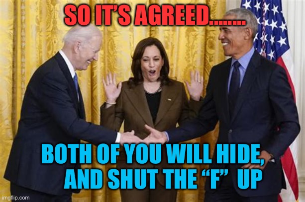 Yes sir, yes sir got it! | SO IT’S AGREED........ BOTH OF YOU WILL HIDE,      AND SHUT THE “F”  UP | image tagged in agreement reached,democrats,kamala harris,biden,obama,missing | made w/ Imgflip meme maker