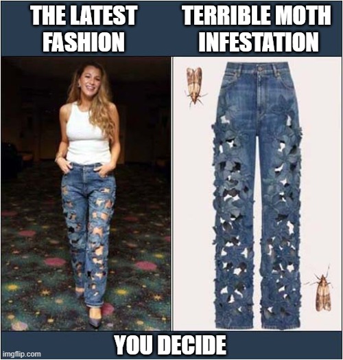 It's A Strange World ! | THE LATEST FASHION; TERRIBLE MOTH
 INFESTATION; YOU DECIDE | image tagged in fashion,moths,you decide | made w/ Imgflip meme maker