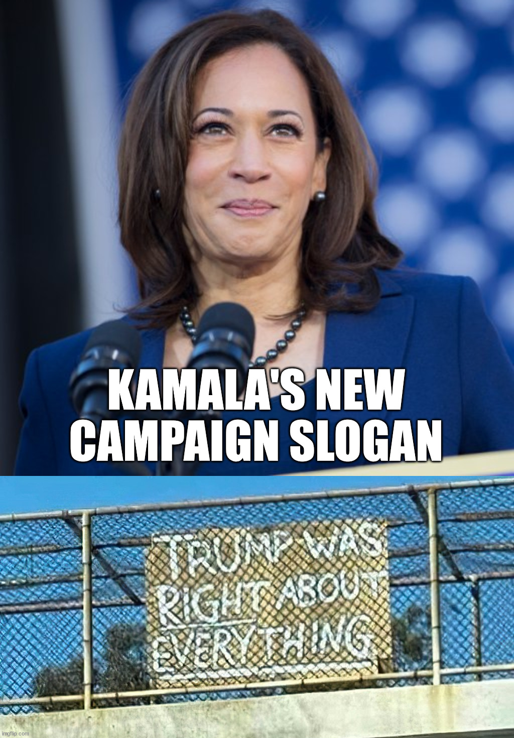 Kamala is now strong on the border | KAMALA'S NEW CAMPAIGN SLOGAN | image tagged in kamala harris,politics | made w/ Imgflip meme maker