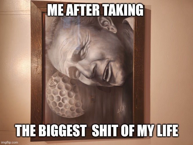 Shit taking | ME AFTER TAKING; THE BIGGEST  SHIT OF MY LIFE | image tagged in shit taking | made w/ Imgflip meme maker