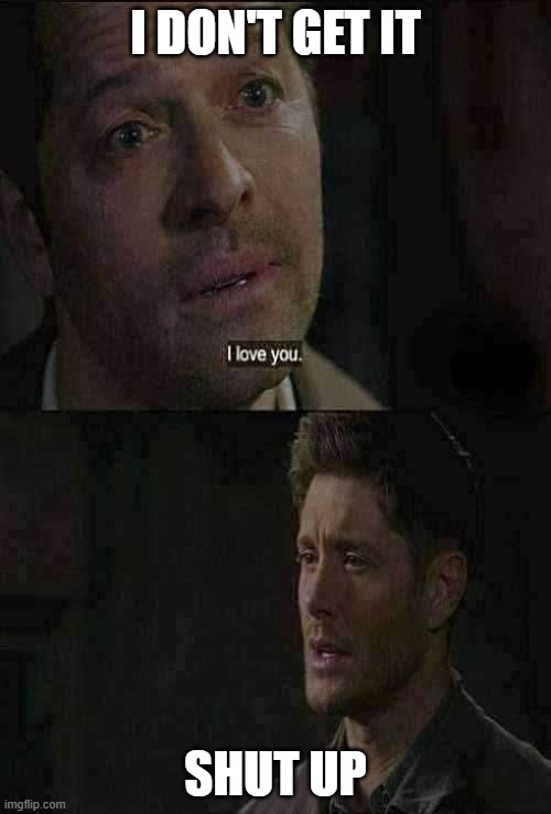 wow | I DON'T GET IT; SHUT UP | image tagged in destiel meme | made w/ Imgflip meme maker