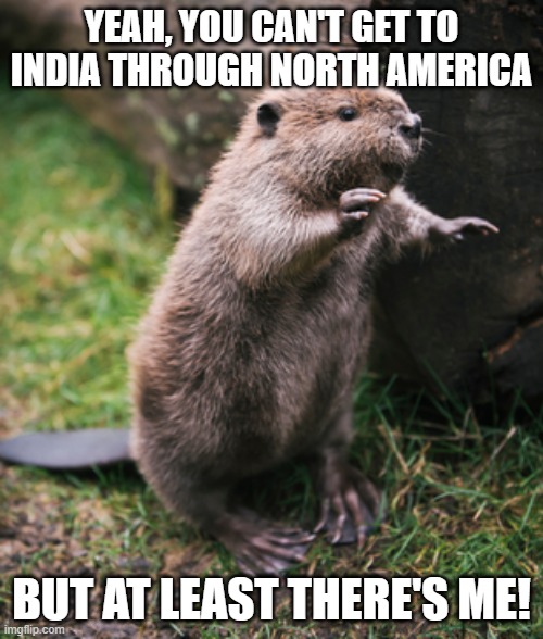 beevir | YEAH, YOU CAN'T GET TO INDIA THROUGH NORTH AMERICA; BUT AT LEAST THERE'S ME! | image tagged in beaver | made w/ Imgflip meme maker