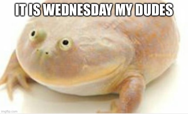 It's Wednesday my dudes | IT IS WEDNESDAY MY DUDES | image tagged in it's wednesday my dudes | made w/ Imgflip meme maker