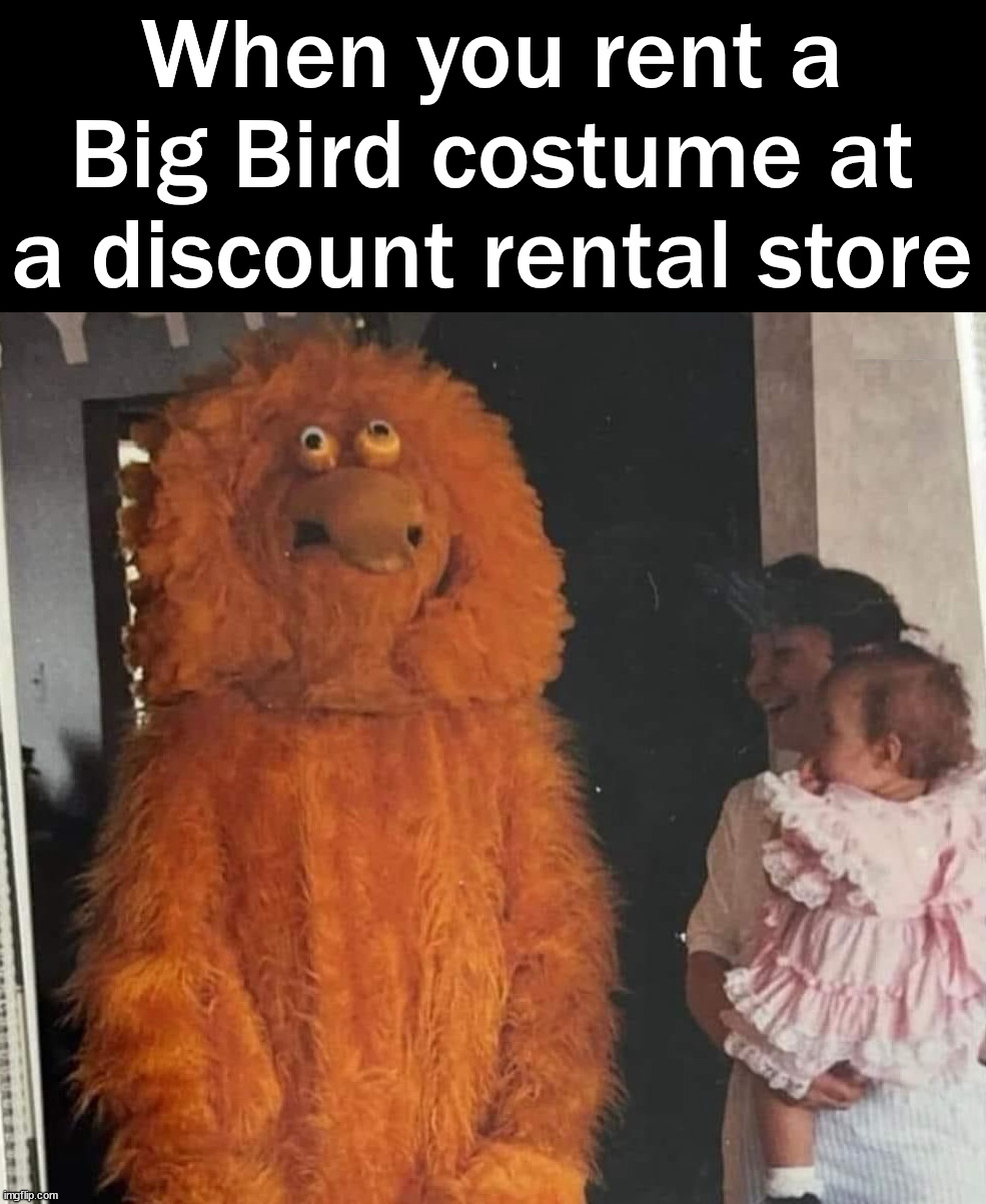 When you terrify all the kids | When you rent a Big Bird costume at a discount rental store | image tagged in terrible,terrify,discount,costume,bad idea | made w/ Imgflip meme maker