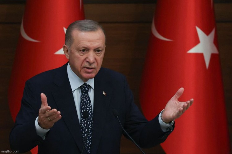Erdogan | image tagged in erdogan | made w/ Imgflip meme maker