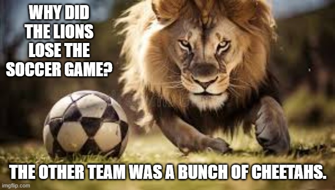 The lions lost their soccer game because they played a bunch of cheetahs | WHY DID THE LIONS LOSE THE SOCCER GAME? THE OTHER TEAM WAS A BUNCH OF CHEETAHS. | image tagged in funny,sports,soccer,lions,funny meme,humor | made w/ Imgflip meme maker