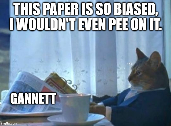 Based Cat | THIS PAPER IS SO BIASED, I WOULDN'T EVEN PEE ON IT. GANNETT | image tagged in cat newspaper,based | made w/ Imgflip meme maker