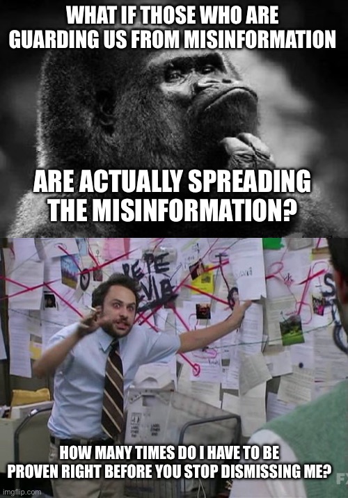 WHAT IF THOSE WHO ARE GUARDING US FROM MISINFORMATION; ARE ACTUALLY SPREADING THE MISINFORMATION? HOW MANY TIMES DO I HAVE TO BE PROVEN RIGHT BEFORE YOU STOP DISMISSING ME? | image tagged in thinking monkey,conspiracy theorist | made w/ Imgflip meme maker