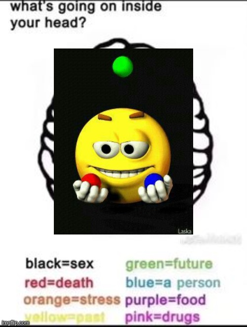 What's going on inside your head? | image tagged in what's going on inside your head | made w/ Imgflip meme maker