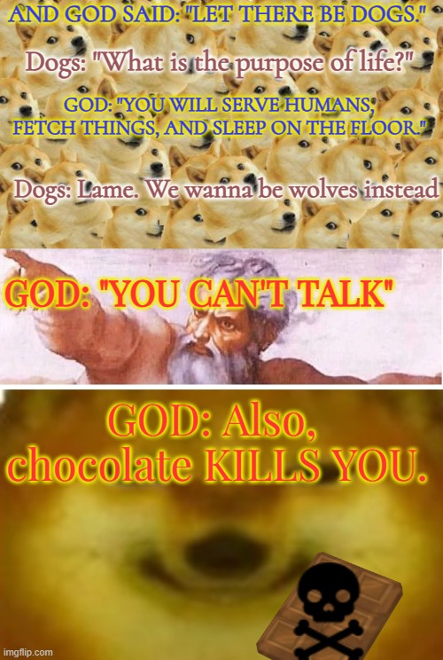 And Then There were Dog | AND GOD SAID: "LET THERE BE DOGS."; Dogs: "What is the purpose of life?"; GOD: "YOU WILL SERVE HUMANS, FETCH THINGS, AND SLEEP ON THE FLOOR."; Dogs: Lame. We wanna be wolves instead; GOD: "YOU CAN'T TALK"; GOD: Also,  chocolate KILLS YOU. | image tagged in memes,multi doge,god,si | made w/ Imgflip meme maker