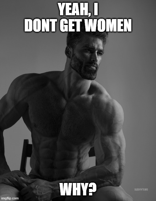 I get no women and I'm proud | YEAH, I DONT GET WOMEN; WHY? | image tagged in giga chad | made w/ Imgflip meme maker