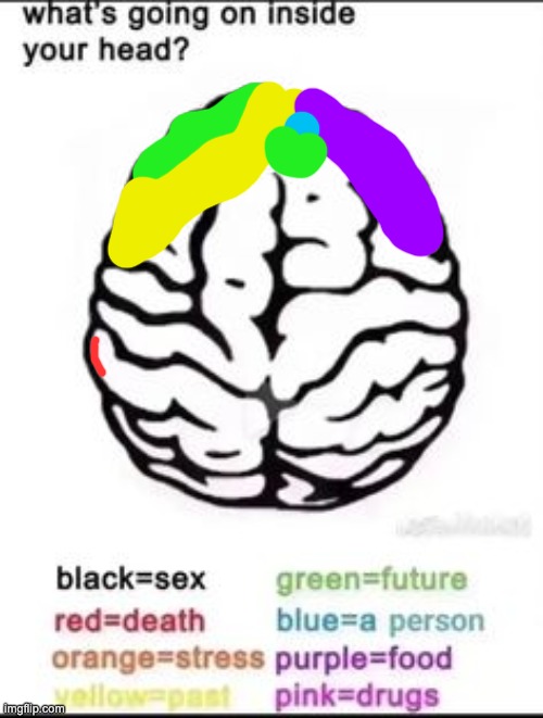 What's going on inside your head? | image tagged in what's going on inside your head | made w/ Imgflip meme maker