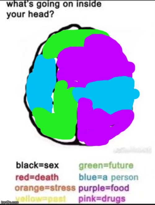 What's going on inside your head? | image tagged in what's going on inside your head | made w/ Imgflip meme maker