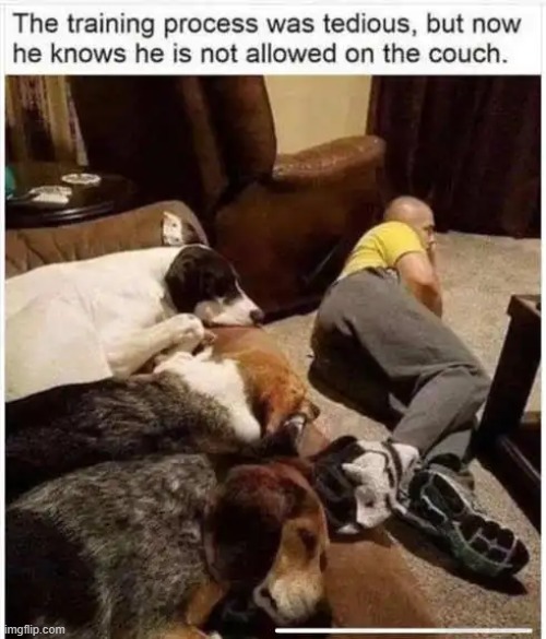 Dogs 3  --  Human 1 | image tagged in training,humans,dogs,you know the rules and so do i,rules,funny | made w/ Imgflip meme maker