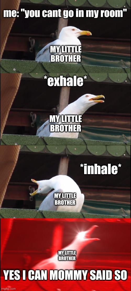 She did not | me: "you cant go in my room"; MY LITTLE BROTHER; *exhale*; MY LITTLE BROTHER; *inhale*; MY LITTLE BROTHER; MY LITTLE BROTHER; YES I CAN MOMMY SAID SO | image tagged in memes,inhaling seagull,little brother,arguing | made w/ Imgflip meme maker