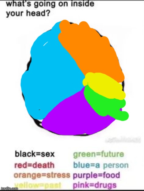 What's going on inside your head? | image tagged in what's going on inside your head | made w/ Imgflip meme maker