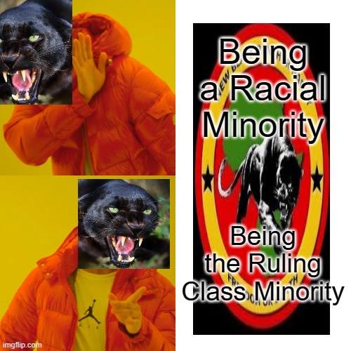 New Black Panther Party is a Hate Group According to SPLC | Being a Racial Minority Being the Ruling Class Minority | image tagged in black panther,hate group,racist | made w/ Imgflip meme maker