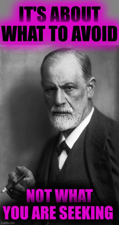 Sigmund Freud Meme | IT'S ABOUT WHAT TO AVOID NOT WHAT YOU ARE SEEKING | image tagged in memes,sigmund freud | made w/ Imgflip meme maker