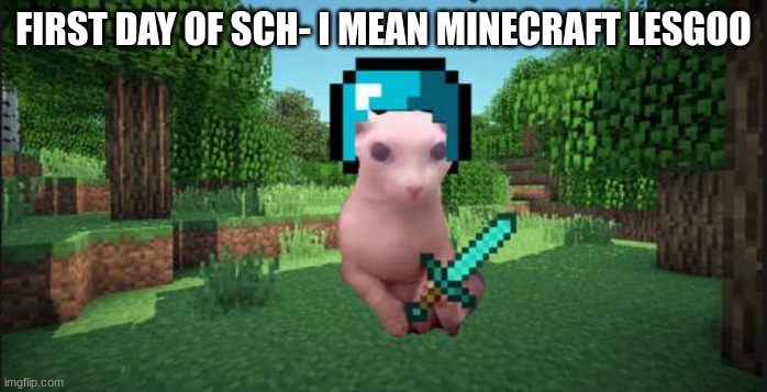 Minecraft bingus | FIRST DAY OF SCH- I MEAN MINECRAFT LESGOO | image tagged in minecraft bingus | made w/ Imgflip meme maker