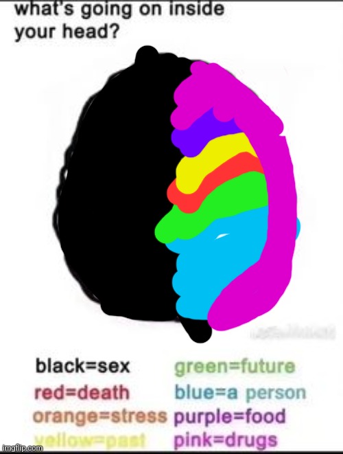 Tried filling it it as best as I could | image tagged in what's going on inside your head | made w/ Imgflip meme maker