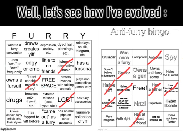 I feel like those bingo are everything but acurrate (but that's the one I did before), lemme get some GOOD ones | Well, let's see how I've evolved : | image tagged in furry bingo v2,anti-furry bingo | made w/ Imgflip meme maker