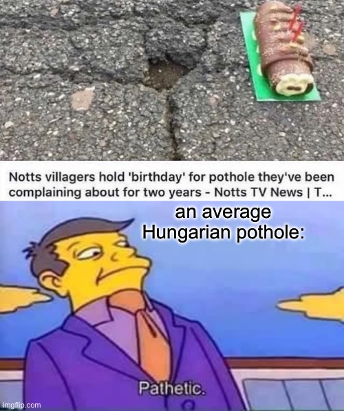 the last time our roads were properly maintained was around the time when Europe was still divided into east and west | an average Hungarian pothole: | image tagged in skinner pathetic,pothole,potholes,hungary | made w/ Imgflip meme maker