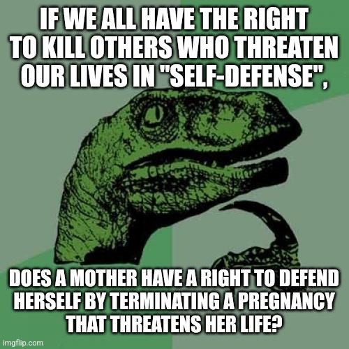 This is only a difficult question to violently paranoid misogynists who believe that women shouldn't have rights. | IF WE ALL HAVE THE RIGHT TO KILL OTHERS WHO THREATEN OUR LIVES IN "SELF-DEFENSE", DOES A MOTHER HAVE A RIGHT TO DEFEND
HERSELF BY TERMINATING A PREGNANCY
THAT THREATENS HER LIFE? | image tagged in memes,philosoraptor,abortion,self defense,rights,misogyny | made w/ Imgflip meme maker