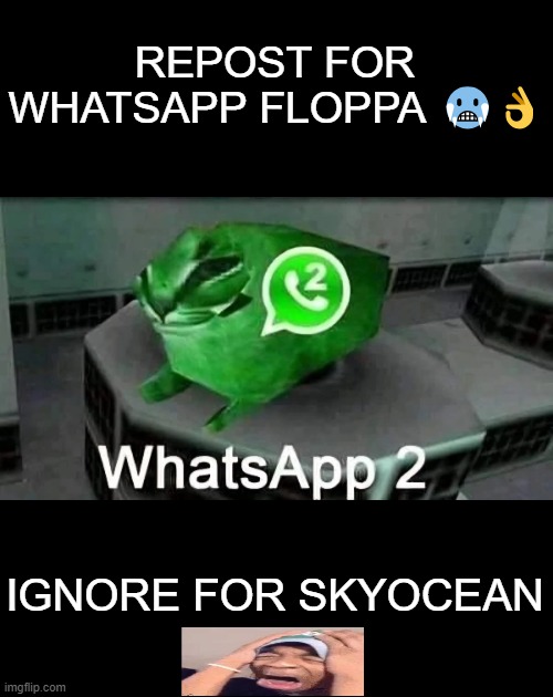 REPOST FOR WHATSAPP FLOPPA 🥶👌; IGNORE FOR SKYOCEAN | made w/ Imgflip meme maker