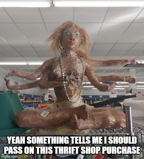 That Might Be Cursed | YEAH SOMETHING TELLS ME I SHOULD PASS ON THIS THRIFT SHOP PURCHASE | image tagged in cursed image | made w/ Imgflip meme maker