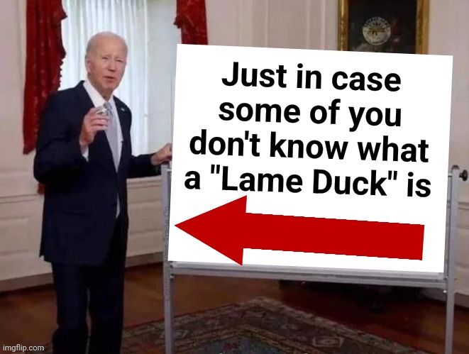 Just in case some of you don't know what a "Lame Duck" is | image tagged in joe tries to explain | made w/ Imgflip meme maker