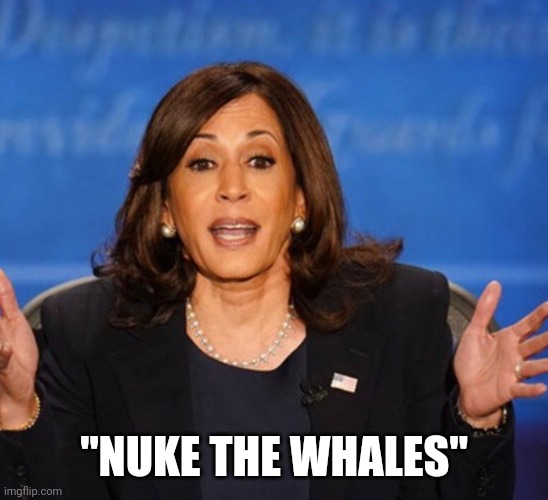 Kamala Harris | "NUKE THE WHALES" | image tagged in kamala harris | made w/ Imgflip meme maker