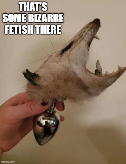 Possum Head | THAT'S SOME BIZARRE FETISH THERE | image tagged in adult humor | made w/ Imgflip meme maker