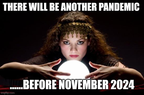 Failed impeachment,  indictment,  assassination  and then.... | THERE WILL BE ANOTHER PANDEMIC; ......BEFORE NOVEMBER 2024 | image tagged in fortune teller | made w/ Imgflip meme maker